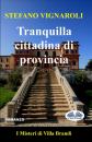 Скачать Tranquilla Cittadina Di Provincia - Stefano Vignaroli