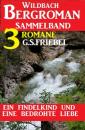 Скачать Ein Findelkind und eine bedrohte Liebe: Wildbach Bergroman Sammelband 3 Romane - Friebel G. S.