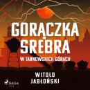 Скачать Gorączka srebra w Tarnowskich Górach - Witold Jabłoński