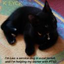 Скачать I'm Leo, a service dog in a cat jacket, and I'm helping my owner with PTSD - K. Eyck