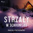 Скачать Strzały w schronisku - Maciej Patkowski