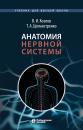 Скачать Анатомия нервной системы - В. И. Козлов