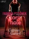 Скачать Fabryka Poziomek: Glory hole – opowiadanie erotyczne - Catrina Curant