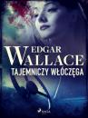 Скачать Tajemniczy włóczęga - Edgar Wallace