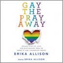 Скачать Gay the Pray Away (Unabridged) - Erika Allison