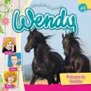 Скачать Wendy, Folge 64: Friesen in Gefahr - Nelly Sand