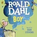 Скачать Boy - Roald Dahl