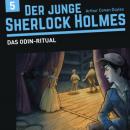Скачать Der junge Sherlock Holmes, Folge 5: Das Odin-Ritual - David Bredel