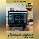 Скачать Финансовые ресурсы и рациональная структура капитала - Сергей Каледин