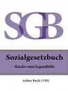 Скачать Sozialgesetzbuch (SGB) Achtes Buch (VIII) – Kinder- und Jugendhilfe - Deutschland