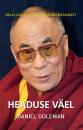 Скачать Headuse väel: Dalai-laama visioon tuleviku maailmast - Daniel Goleman