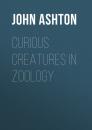 Скачать Curious Creatures in Zoology - Ashton John