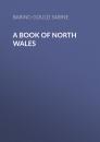 Скачать A Book of North Wales - Baring-Gould Sabine