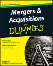 Скачать Mergers and Acquisitions For Dummies - Bill  Snow