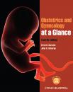 Скачать Obstetrics and Gynecology at a Glance - Norwitz Errol R.