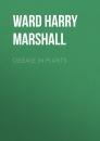 Скачать Disease in Plants - Ward Harry Marshall