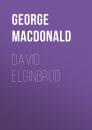 Скачать David Elginbrod - George MacDonald