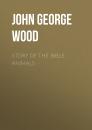 Скачать Story of the Bible Animals - John George Wood