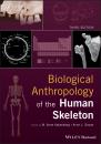 Скачать Biological Anthropology of the Human Skeleton - Anne Grauer L.