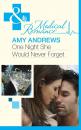Скачать One Night She Would Never Forget - Amy Andrews