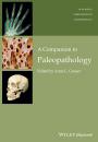Скачать A Companion to Paleopathology - Anne Grauer L.