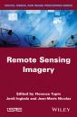 Скачать Remote Sensing Imagery - Florence  Tupin