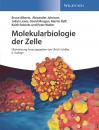 Скачать Molekularbiologie der Zelle - David  Morgan