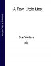 Скачать A Few Little Lies - Sue  Welfare