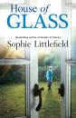 Скачать House of Glass - Sophie  Littlefield