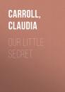 Скачать Our Little Secret - Claudia  Carroll