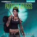 Скачать Night Broken - Patricia  Briggs