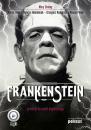 Скачать Frankenstein w wersji do nauki angielskiego - Мэри Шелли