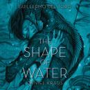 Скачать Shape of Water - Daniel  Kraus