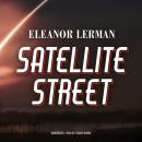 Скачать Satellite Street - Eleanor Lerman