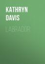 Скачать Labrador - Kathryn  Davis