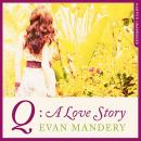 Скачать Q: A Love Story - Evan J. Mandery
