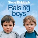 Скачать Raising Boys - Steve Biddulph