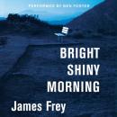 Скачать Bright Shiny Morning - James  Frey