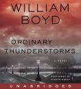Скачать Ordinary Thunderstorms - William  Boyd