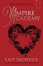 Скачать Vampire Academy: Last Sacrifice (book 6) - Richelle Mead