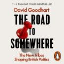 Скачать Road to Somewhere - David Goodhart