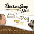 Скачать Chicken Soup for the Soul: What I Learned from the Dog - 31 Stories about Family, Courage, and How to Listen - Джек Кэнфилд