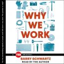 Скачать Why We Work - Barry  Schwartz