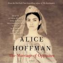 Скачать Marriage of Opposites - Alice Hoffman
