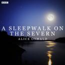 Скачать Sleepwalk On The Severn - Alice Oswald