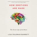 Скачать How Emotions Are Made - Lisa Feldman Barrett