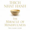 Скачать Miracle Of Mindfulness - Тит Нат Хан