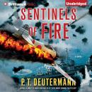 Скачать Sentinels of Fire - P. T. Deutermann