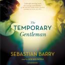 Скачать Temporary Gentleman - Sebastian  Barry