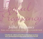 Скачать Joyful Pregnancy - Janey Lee Grace